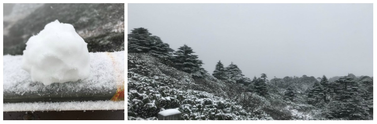 風花雪月瑞方情，萬水千山大理行 第6張